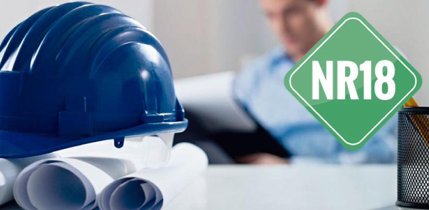 Norma_nr18
